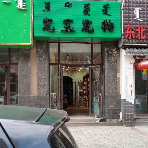 宠宝宠物:呼和浩特市玉泉区大召附近