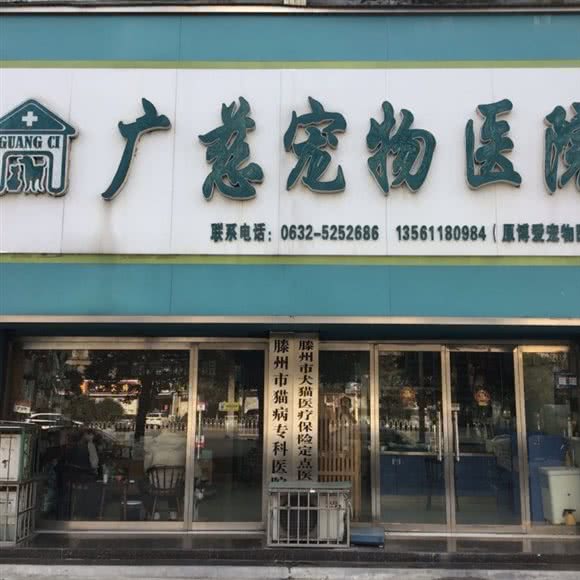 广慈宠物医院:枣庄市滕州市