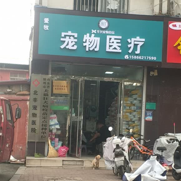 爱牧宠物医疗:枣庄市滕州市