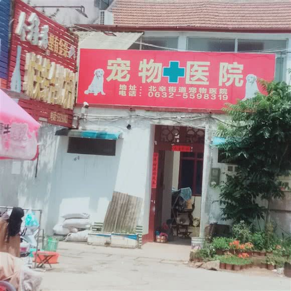宠物医院:枣庄市滕州市