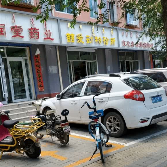 喆爱动物诊所:呼和浩特市玉泉区大召附近