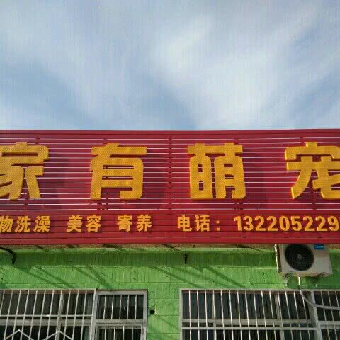 家有萌宠宠物店:东营市河口区