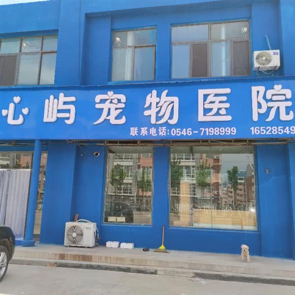 心屿宠物医院:东营市河口区