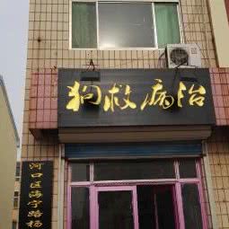 杨医生宠物诊所:东营市河口区