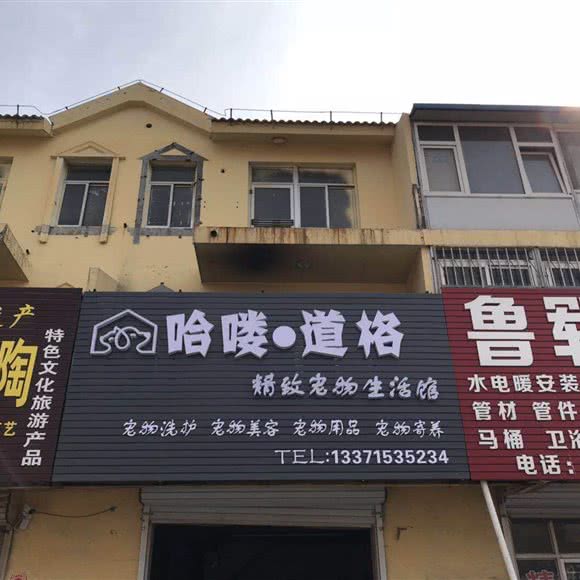 哈喽·道格精致宠物生活馆:东营市垦利区