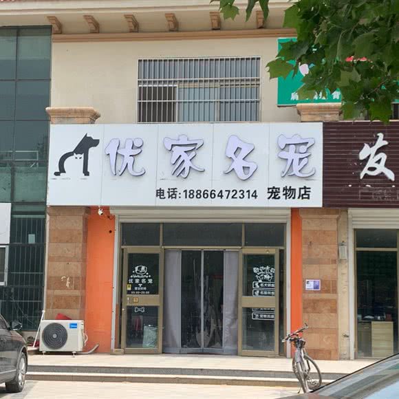 优家名宠:东营市广饶县