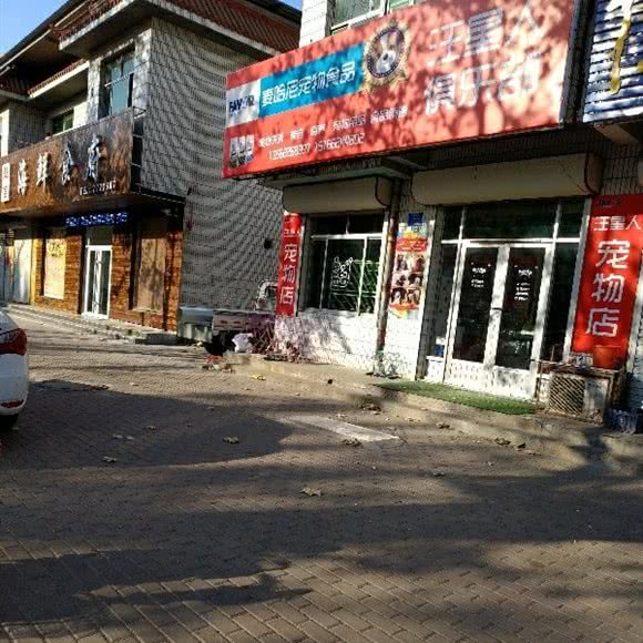 汪星人俱乐部:东营市广饶县