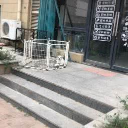 Q宠日记:烟台市芝罘区