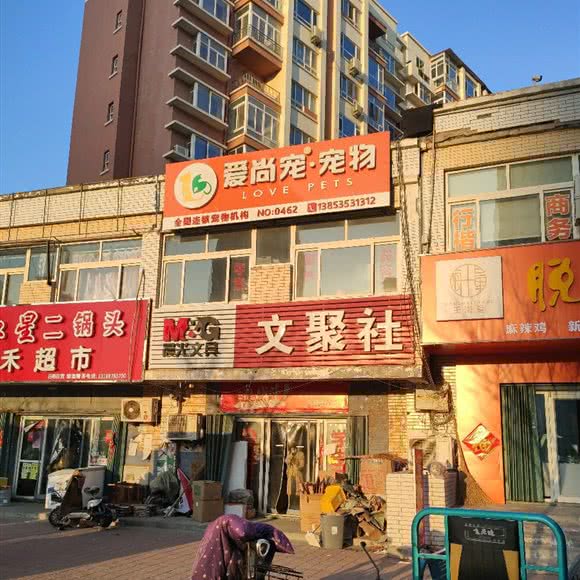 爱尚宠宠物(no:0462):烟台市福山区