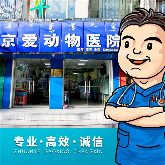 京爱动物医院:呼和浩特市赛罕区桥华附近