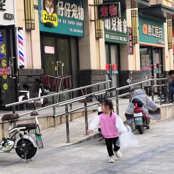 仔仔宠物:烟台市福山区