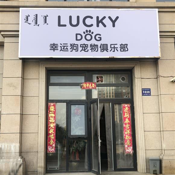 lucky dog 宠物俱乐部(新华联雅园店):呼和浩特市赛罕区金隅时代城附近