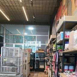 狗de猫宁:烟台市牟平区