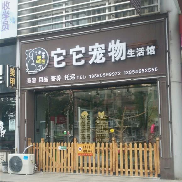 老王萌宠它它宠物生活馆:烟台市牟平区