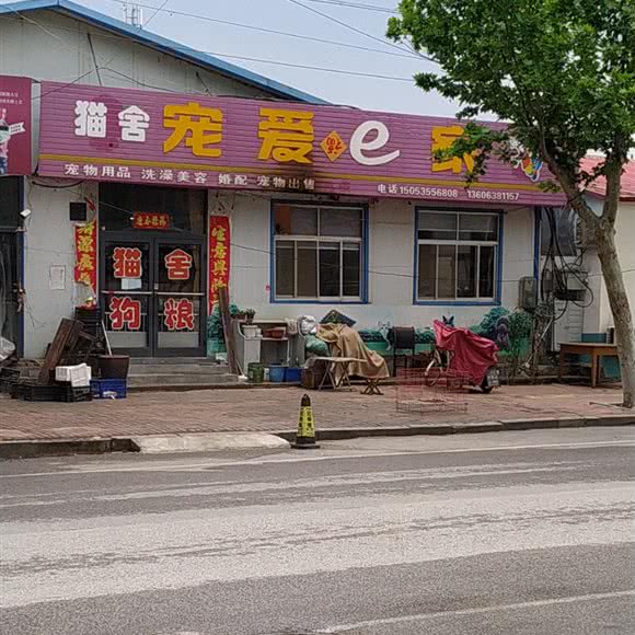 猫舍宠爱e家:烟台市牟平区