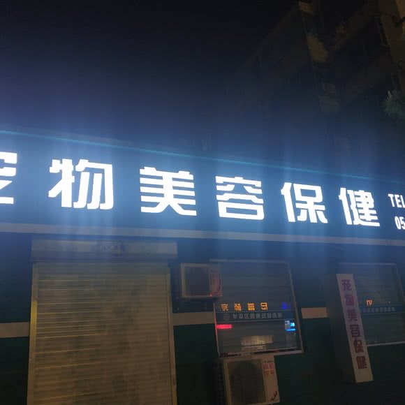 宠物美容保健:烟台市牟平区