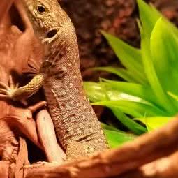 麦田:北京城区朝阳区十里河附近