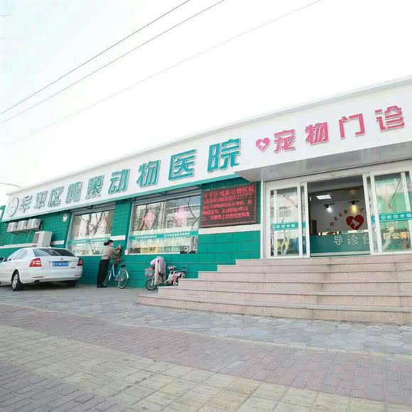 牟平鸣康动物医院:烟台市牟平区