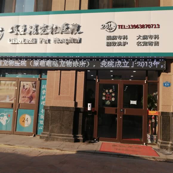 巧乐滋宠物医院:烟台市牟平区