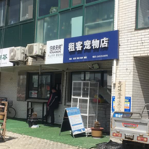 租客宠物店:烟台市莱山区