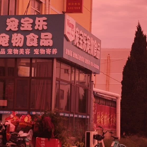 宠宝乐宠物食品:烟台市莱山区