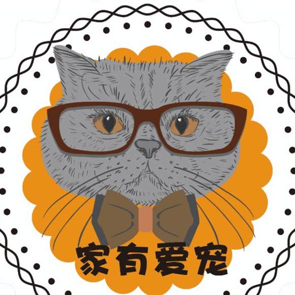 家有爱宠:烟台市莱山区