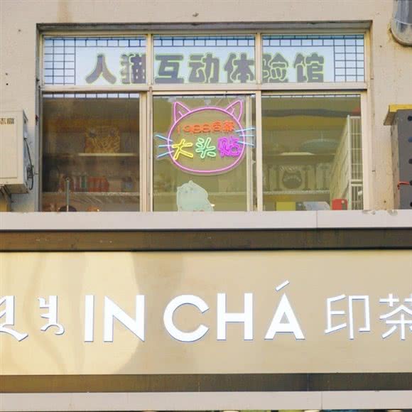 咕猫柠·猫客厅(附中东巷店):呼和浩特市赛罕区内大附近