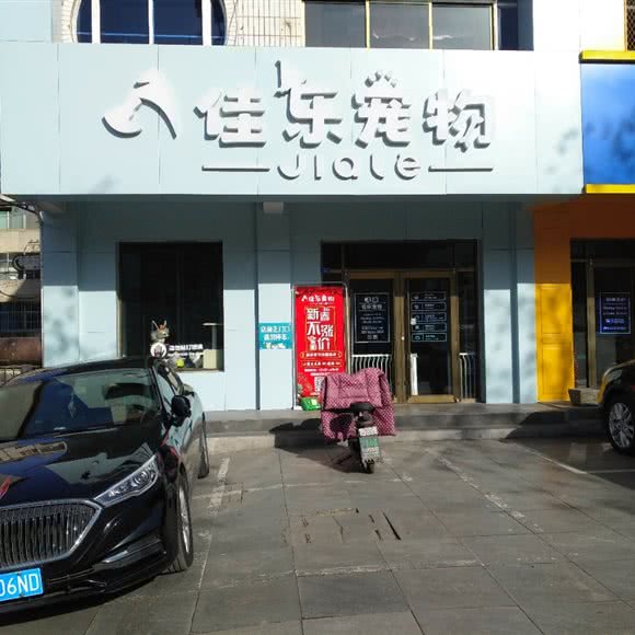 佳乐狗狗:烟台市龙口市