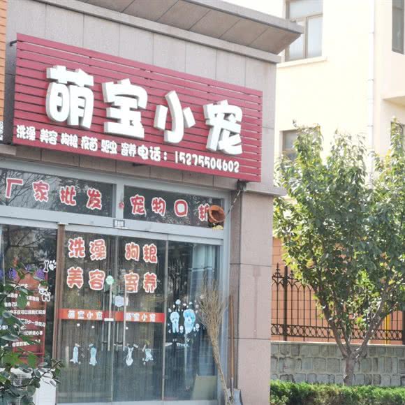 萌宝小宠:烟台市龙口市