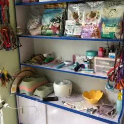 狗狗生活馆:烟台市龙口市