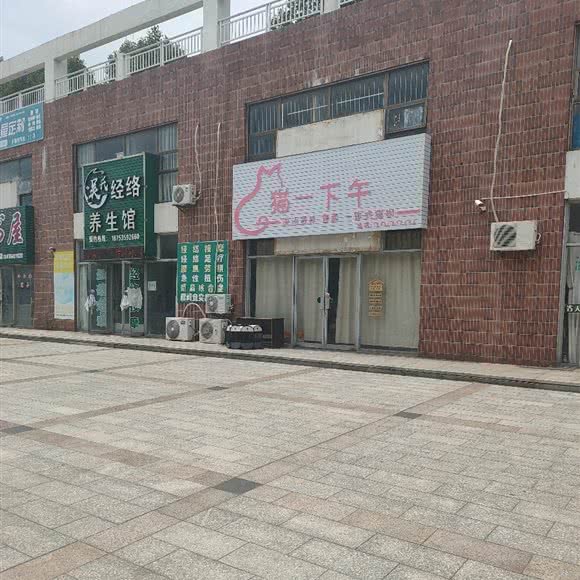 猫一下午:烟台市龙口市