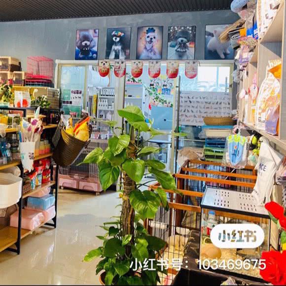 宠爱有佳:烟台市龙口市