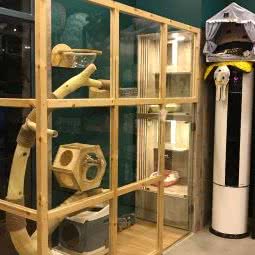 淼依宠物会所:烟台市龙口市