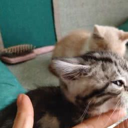 甜心私宠:烟台市龙口市