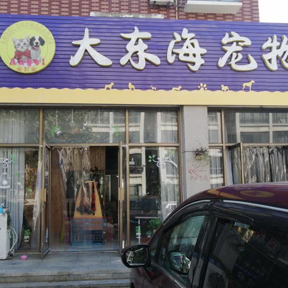 宠到家大东海宠物:烟台市龙口市