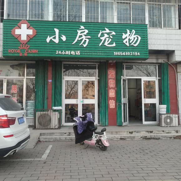 皇家小房宠物:烟台市龙口市