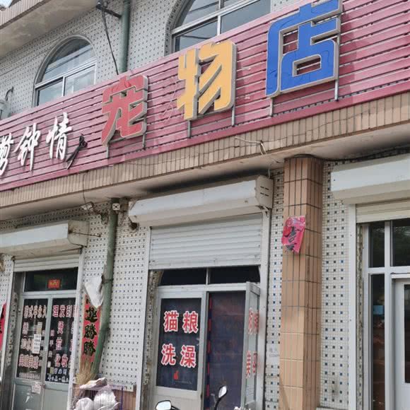 宠物店:烟台市龙口市