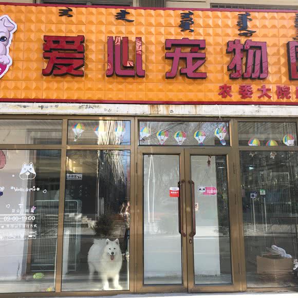 爱心宠物园:呼和浩特市赛罕区乌兰察布东街附近