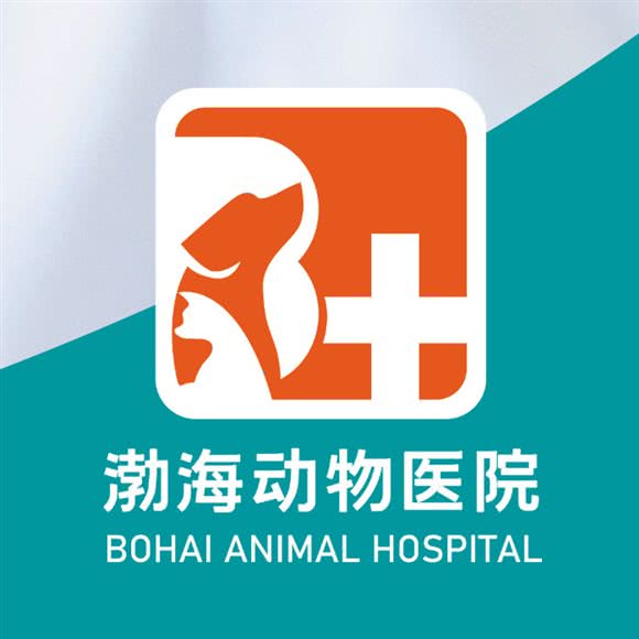 渤海动物医院:烟台市龙口市