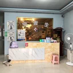 宠壹生宠物诊所:烟台市龙口市