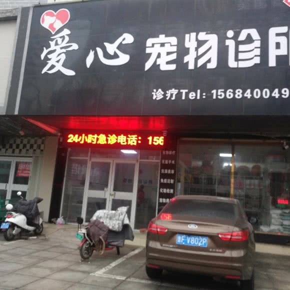 关爱宠物诊所:烟台市龙口市