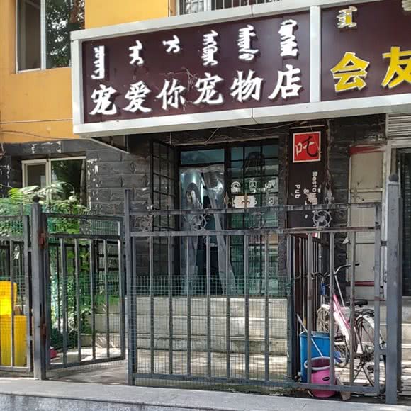 宠爱你宠物店:呼和浩特市赛罕区乌兰察布东街附近