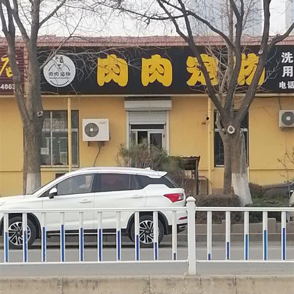 肉肉宠物:烟台市莱阳市