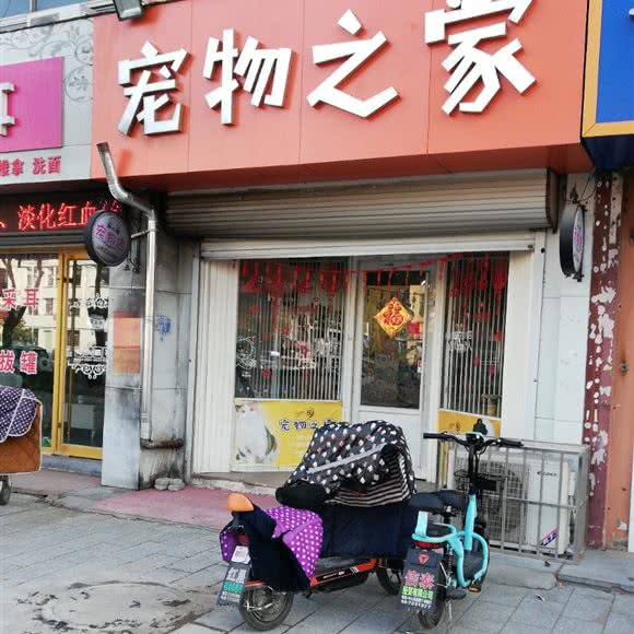 宠物之家(金山大街店):烟台市莱阳市
