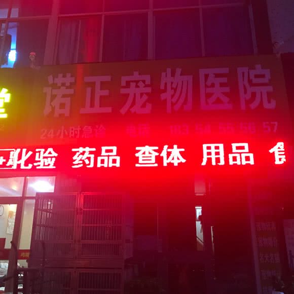 诺正宠物医院:烟台市莱阳市
