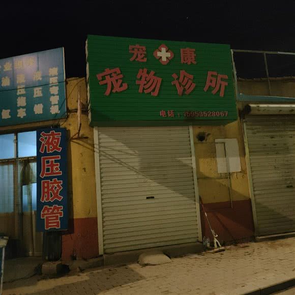 宠康宠物诊所:烟台市莱阳市