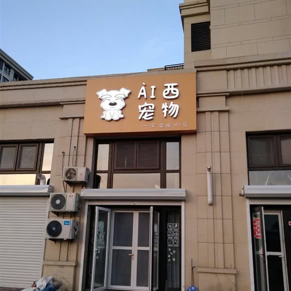 AI西宠物:烟台市莱州市