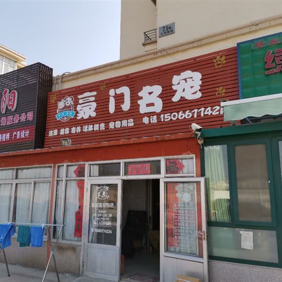 豪门名宠:烟台市莱州市