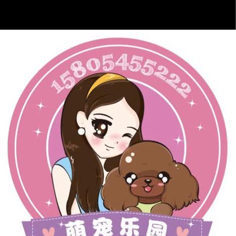 萌宠乐园:烟台市莱州市