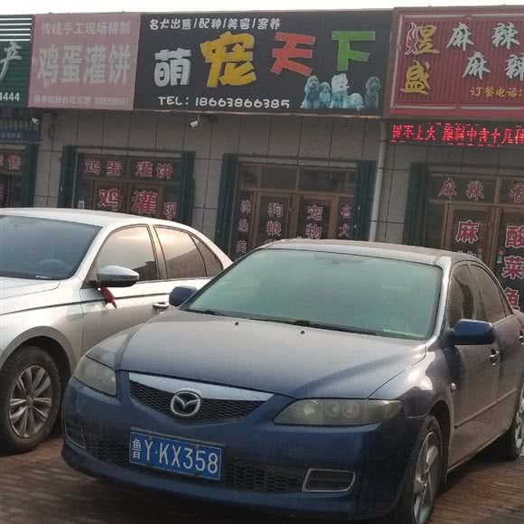 萌宠天下:烟台市莱州市